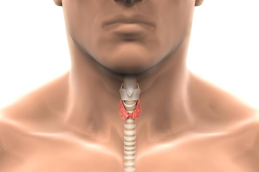 Prevalence and Types of Hypothyroidism