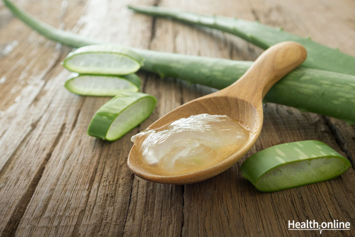 Aloe Vera: Your Skin&#8217;s Best Friend