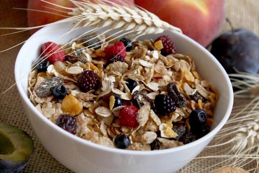 Why We Need Fiber in Our Diet