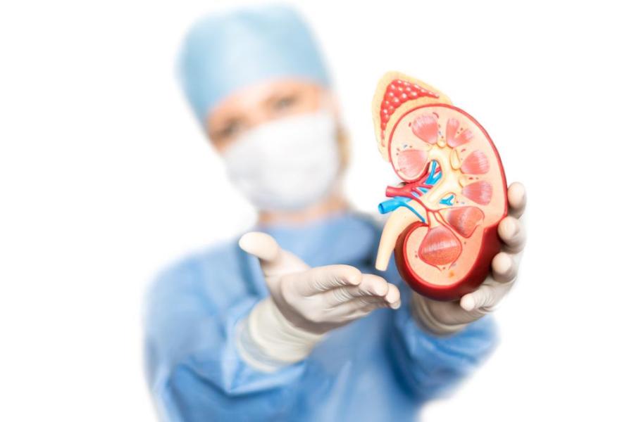 Diabetes: Kidney Complications