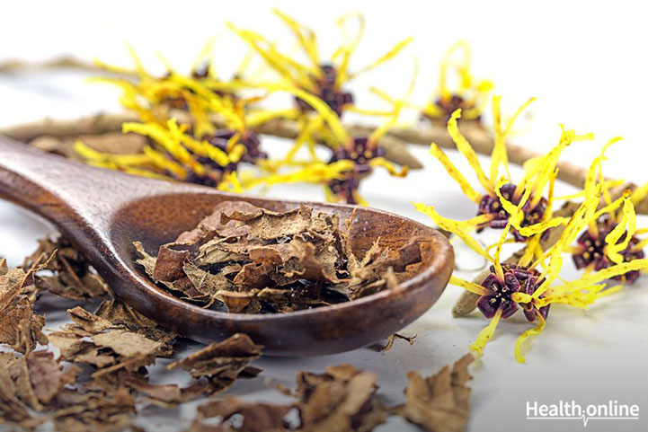 Can Witch Hazel Help Heal Your Acne Breakouts?