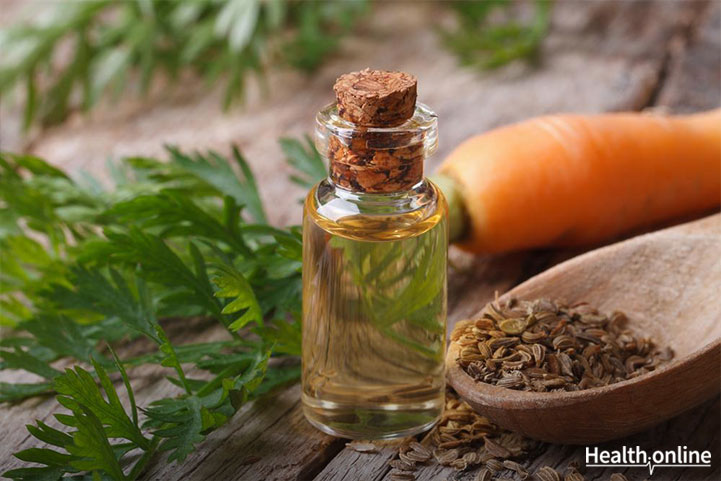 All You Need To Know About Carrot Seed Oil