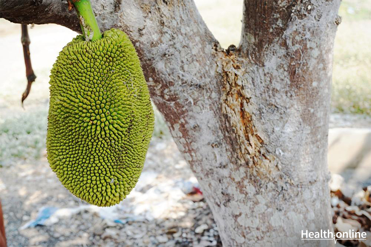 Jackfruit: Nutritional Facts & Benefits