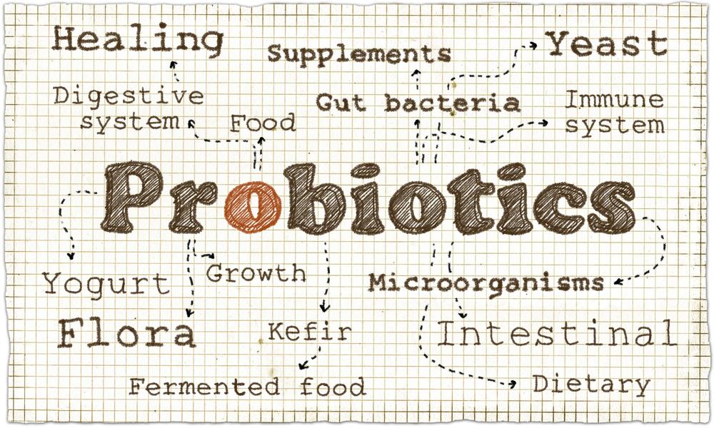 Ways in Which Probiotics Aid in Gut Health And Improve Immune System