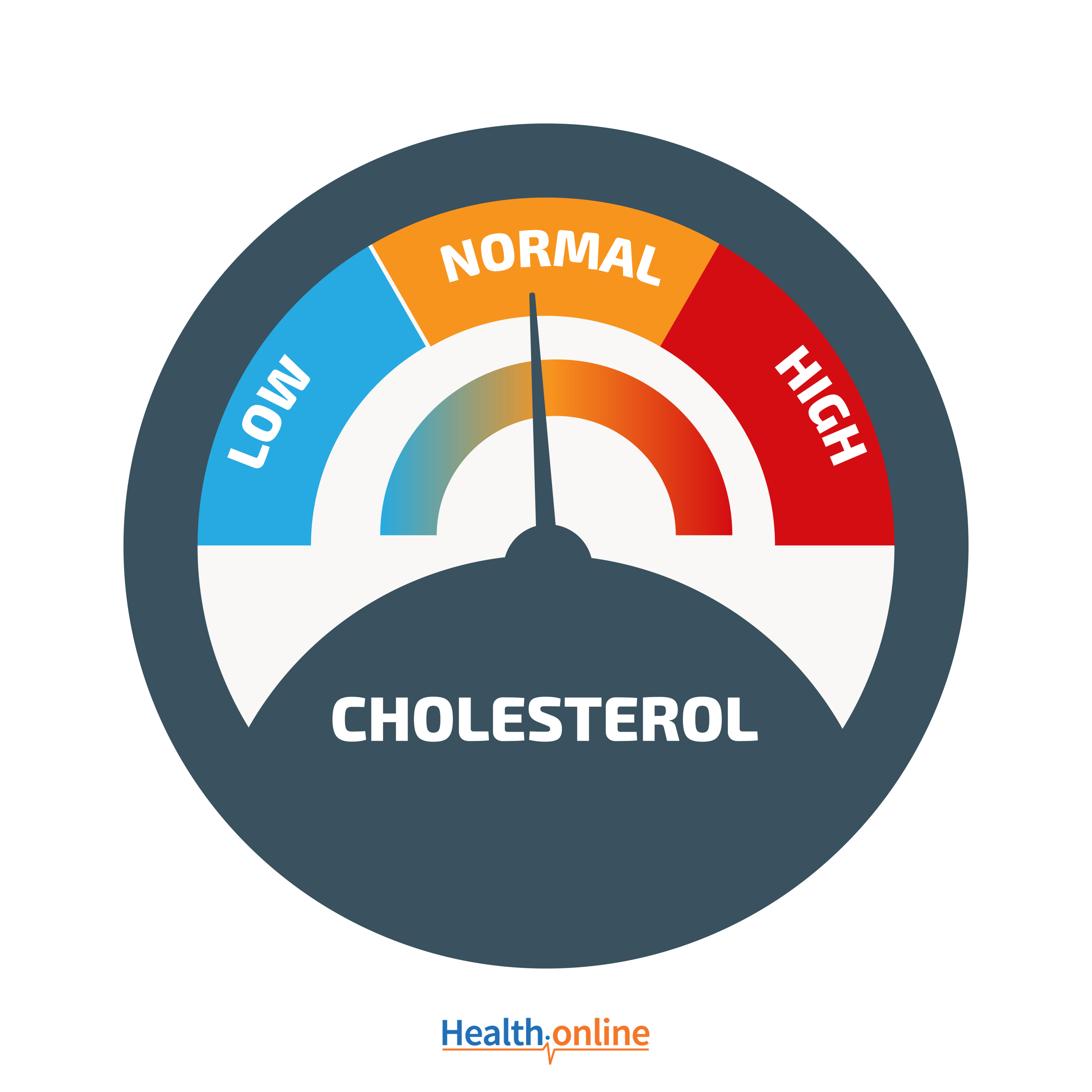 Cholesterol Information and Prevention