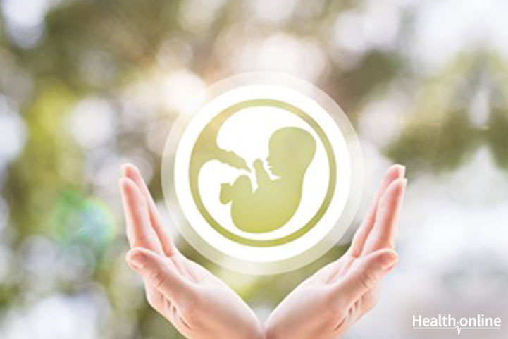 The Role of Vitamin D in IVF