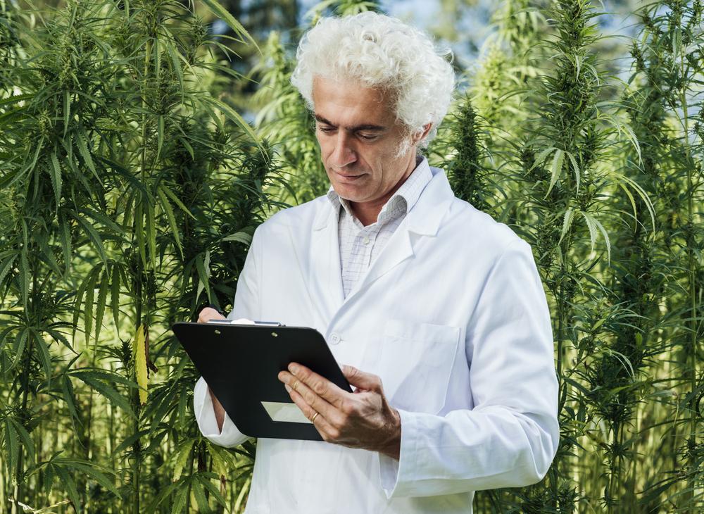 Being on Medical Marijuana for Chronic Pain Relief