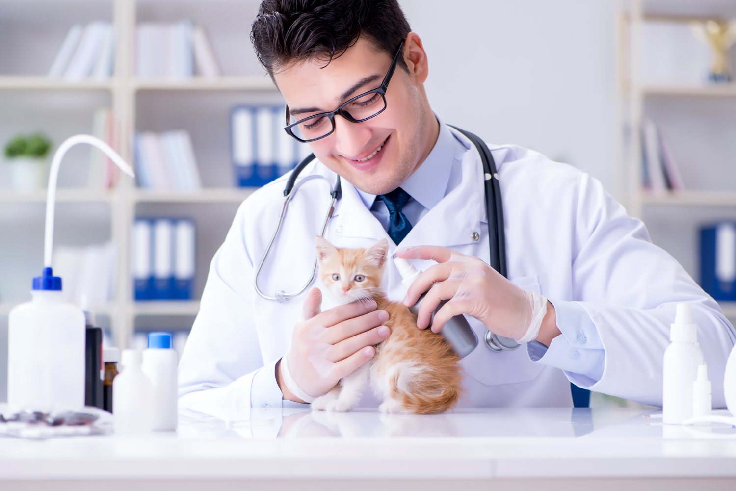 Tips for Healthy Cat Treating