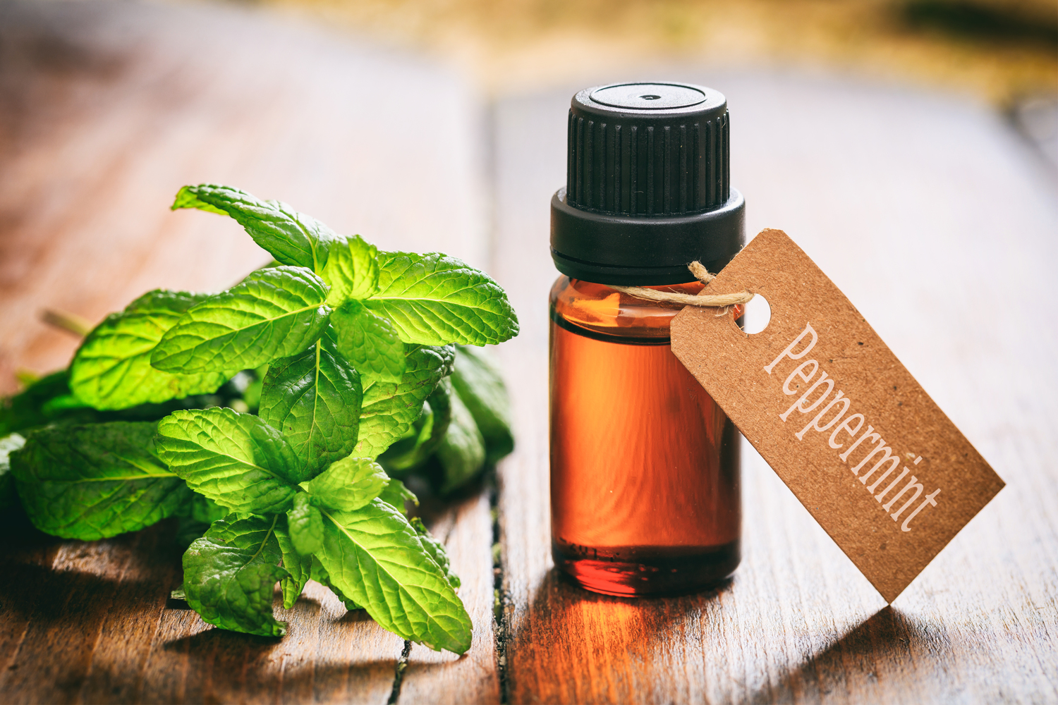 Ancestral Remedies to Manage Migraine
