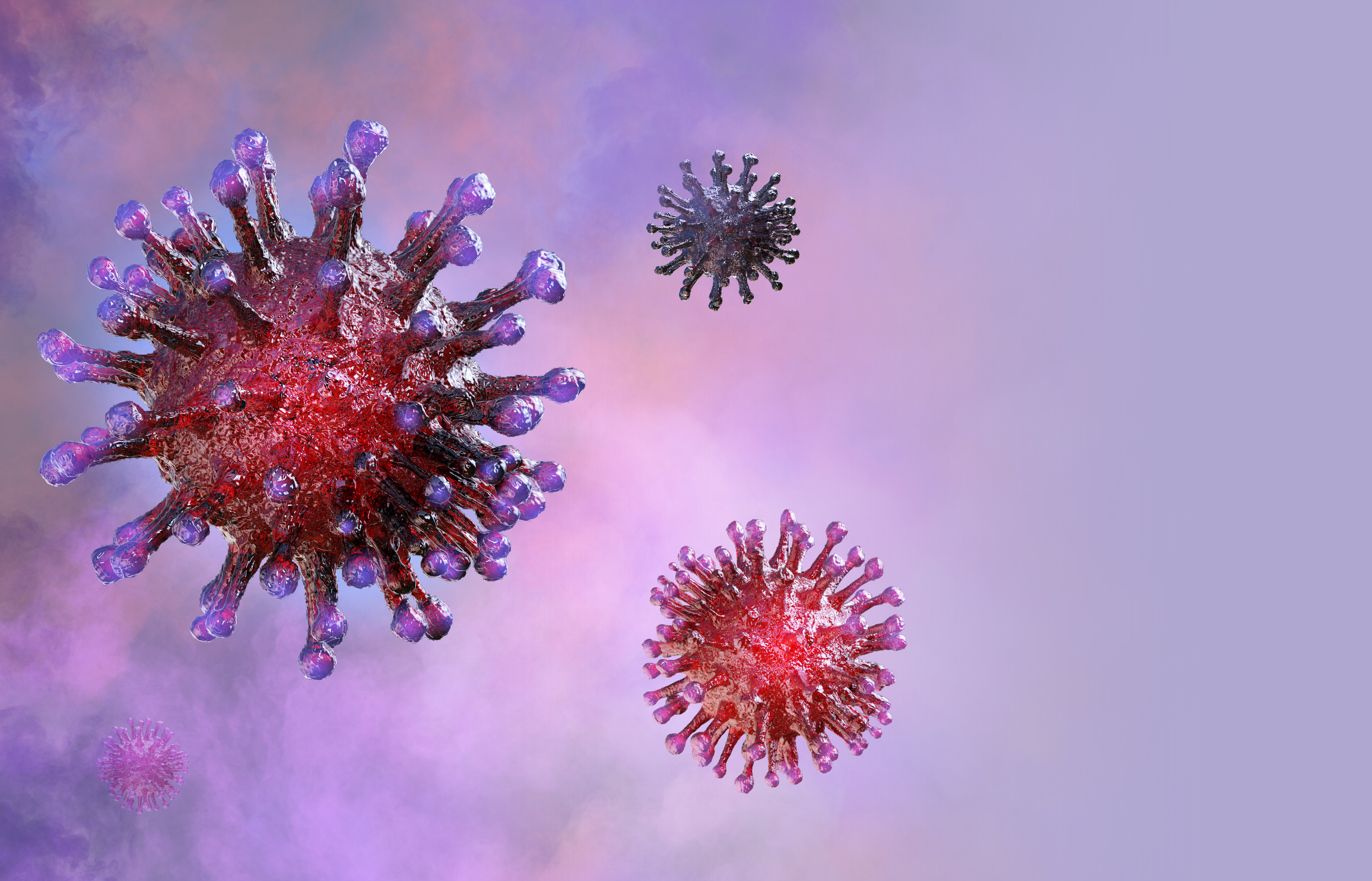 Coronavirus – What Do We Know So Far?